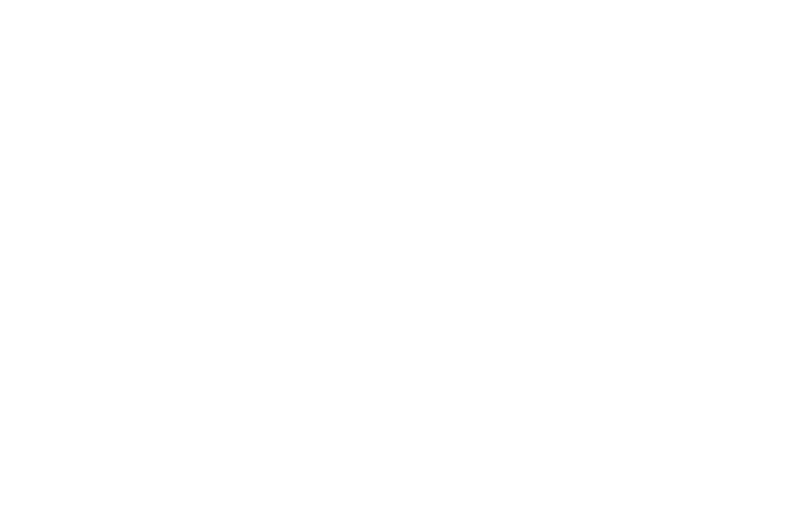 eagle home appraisal logo white
